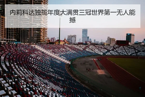 内莉科达独揽年度大满贯三冠世界第一无人能撼